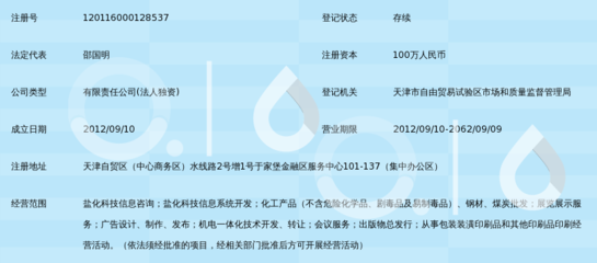中盐（天津）盐化科技信息有限公司商务信息咨询业务全景解析